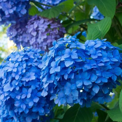 あなたのビジネスに、“成果が出る”WEBサイトを。