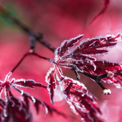 WEBを活用しての集客力アップ、販売力アップの方法とは